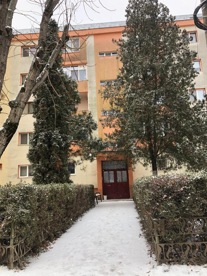 Denis Apartament 투르다 외부 사진
